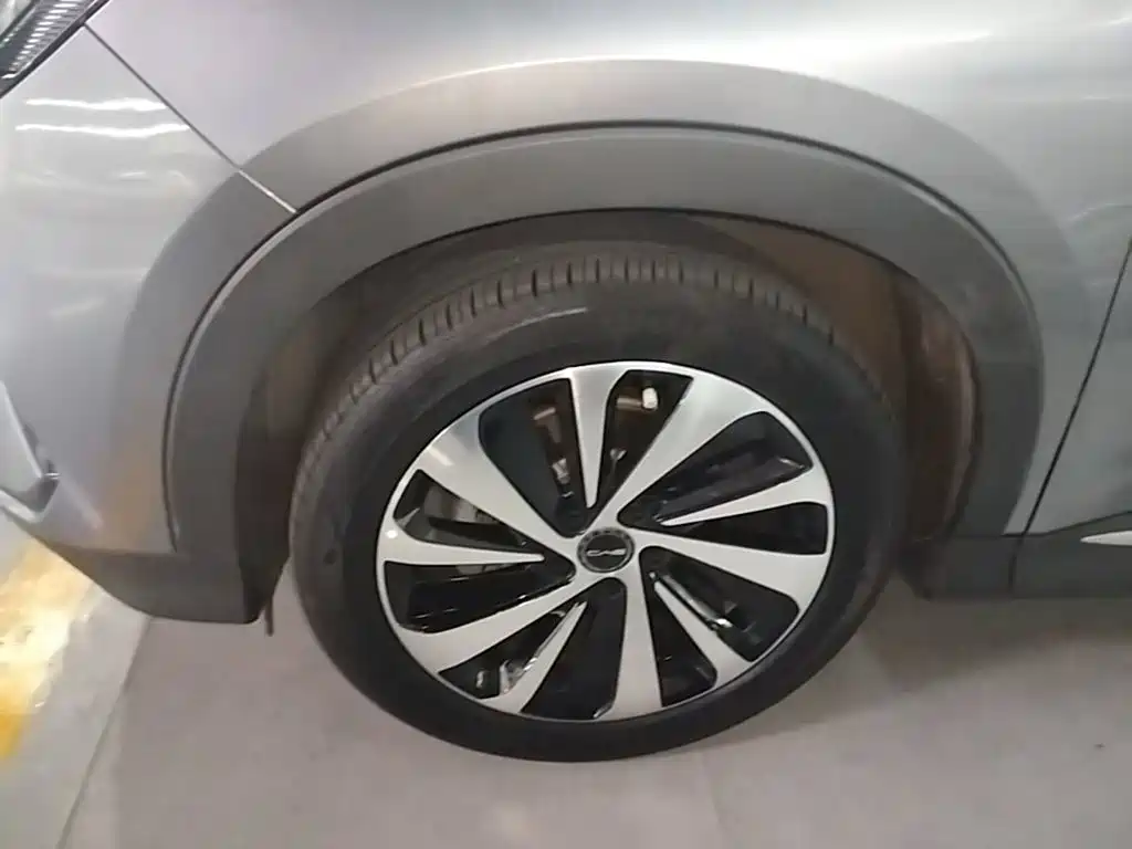 BYD PLUS New Energy — фото 23