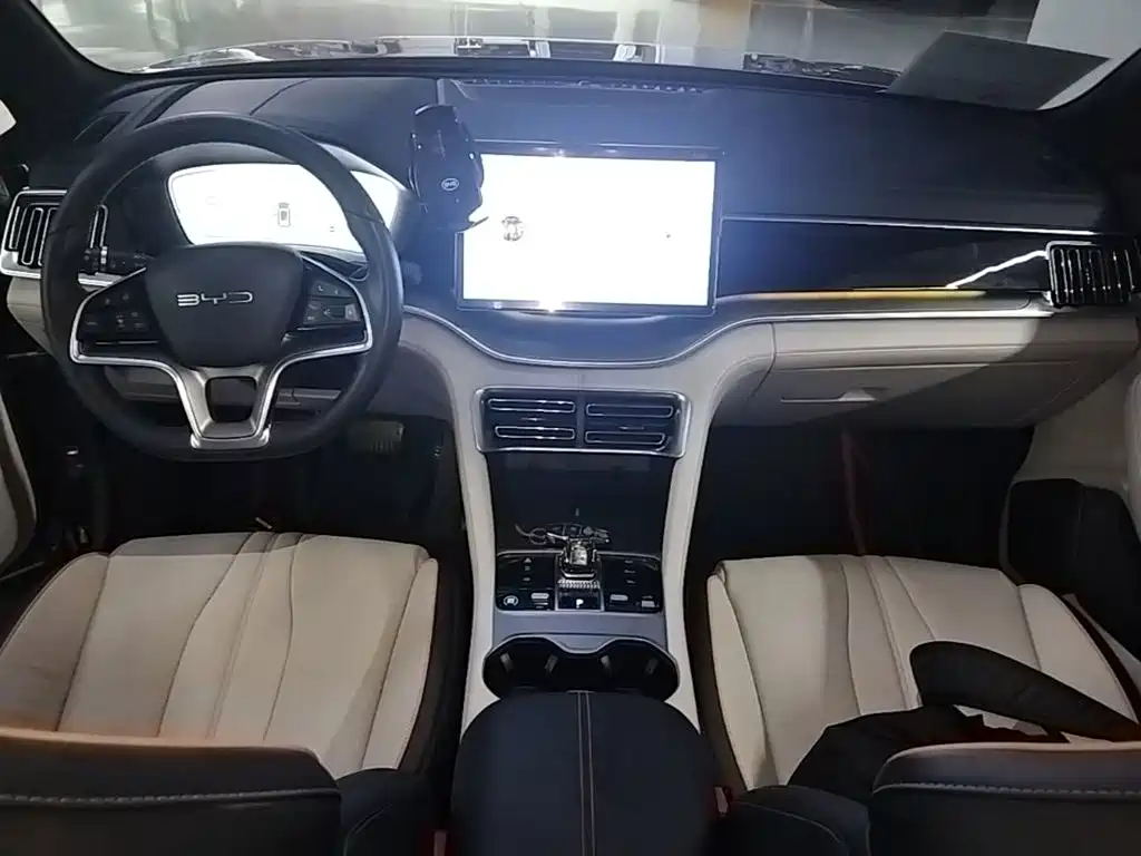 BYD PLUS New Energy — фото 10