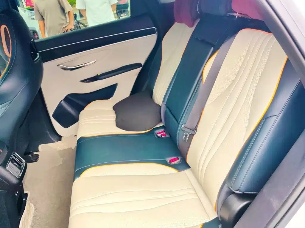 BYD PLUS New Energy — фото 15