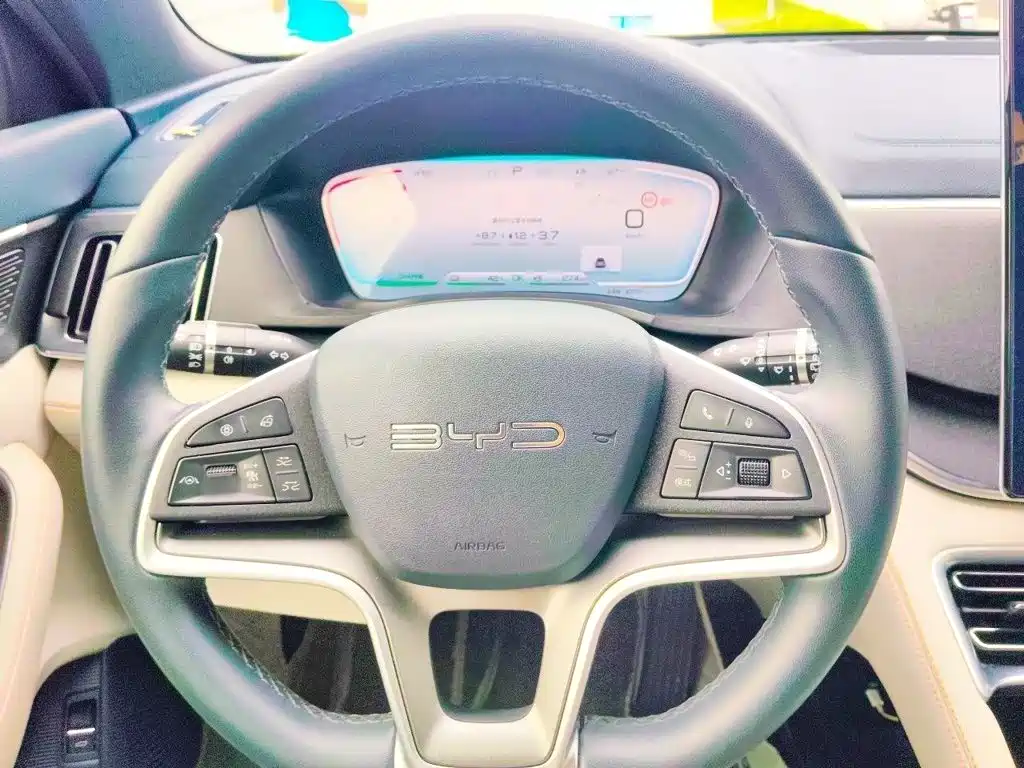 BYD PLUS New Energy — фото 3
