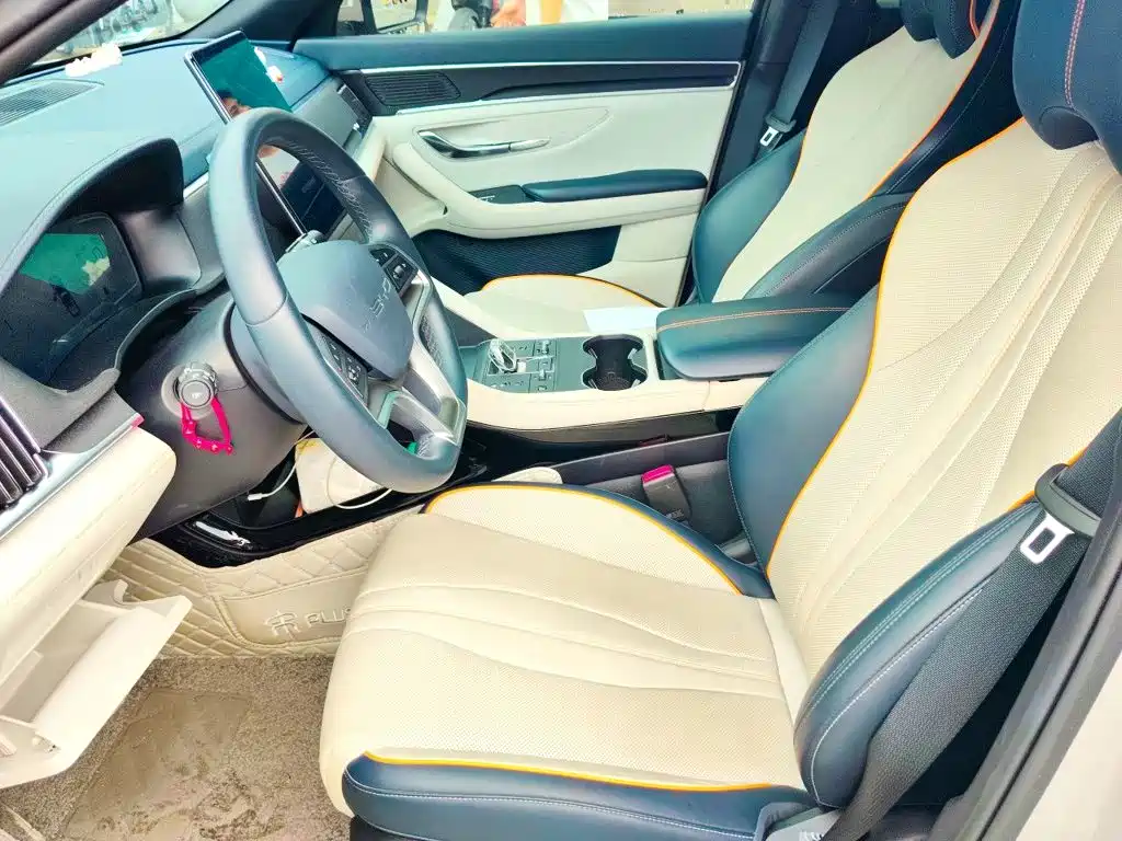 BYD PLUS New Energy — фото 8