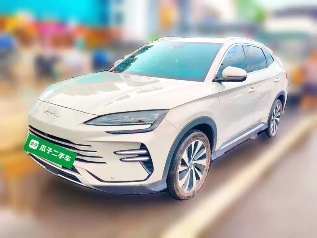 BYD PLUS New Energy