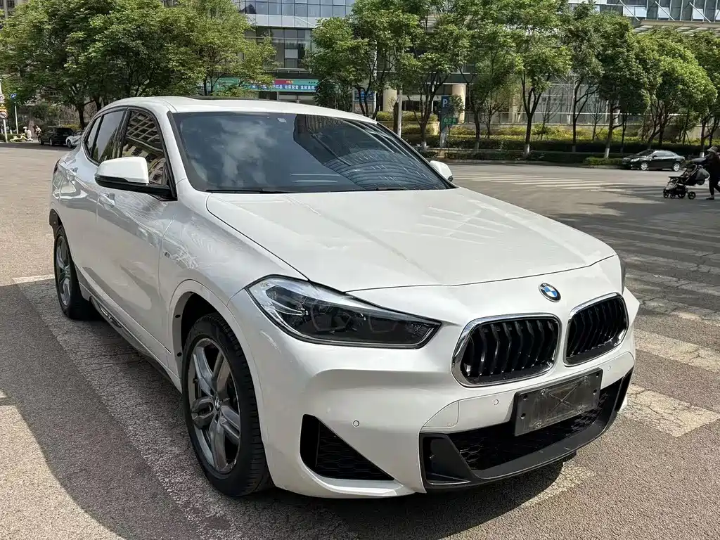 BMW X2 — фото 3
