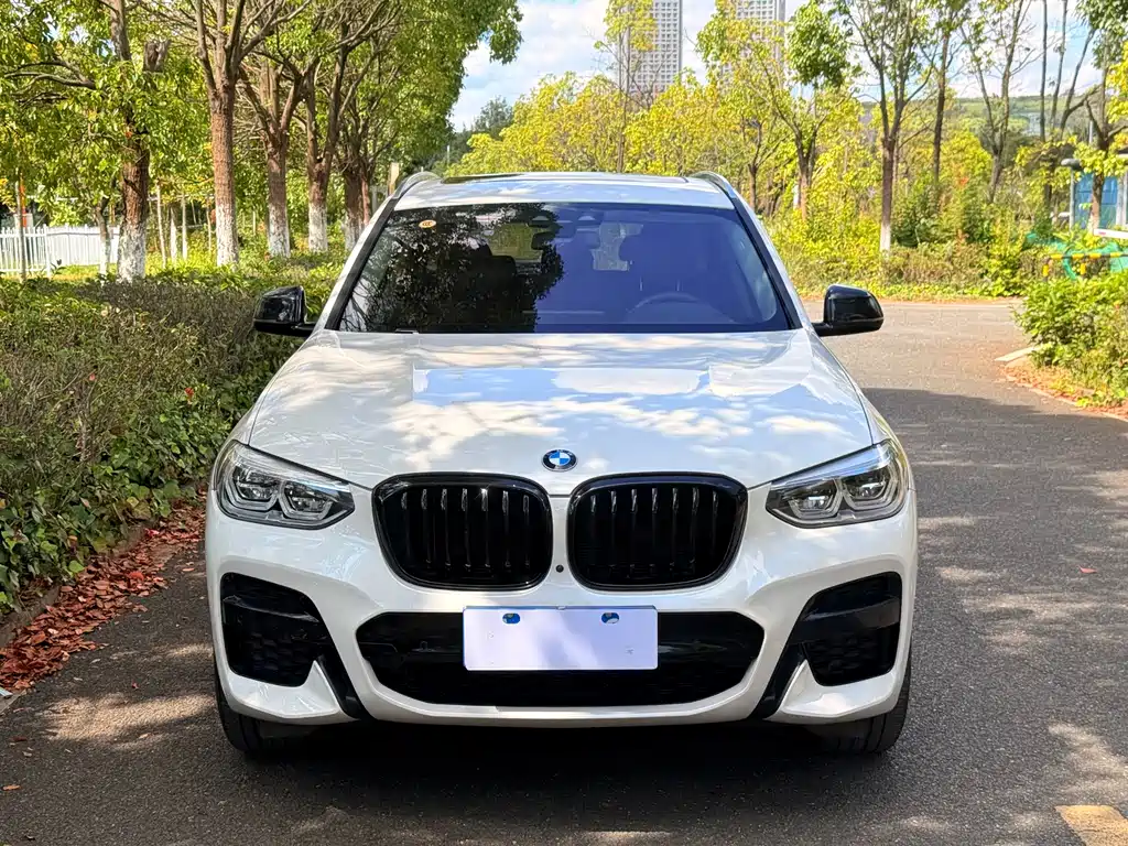 BMW X3 — фото 2