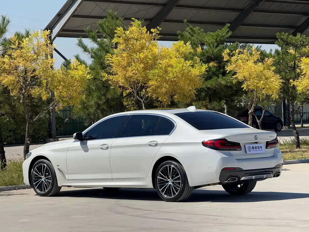 BMW 5 Series — фото 23