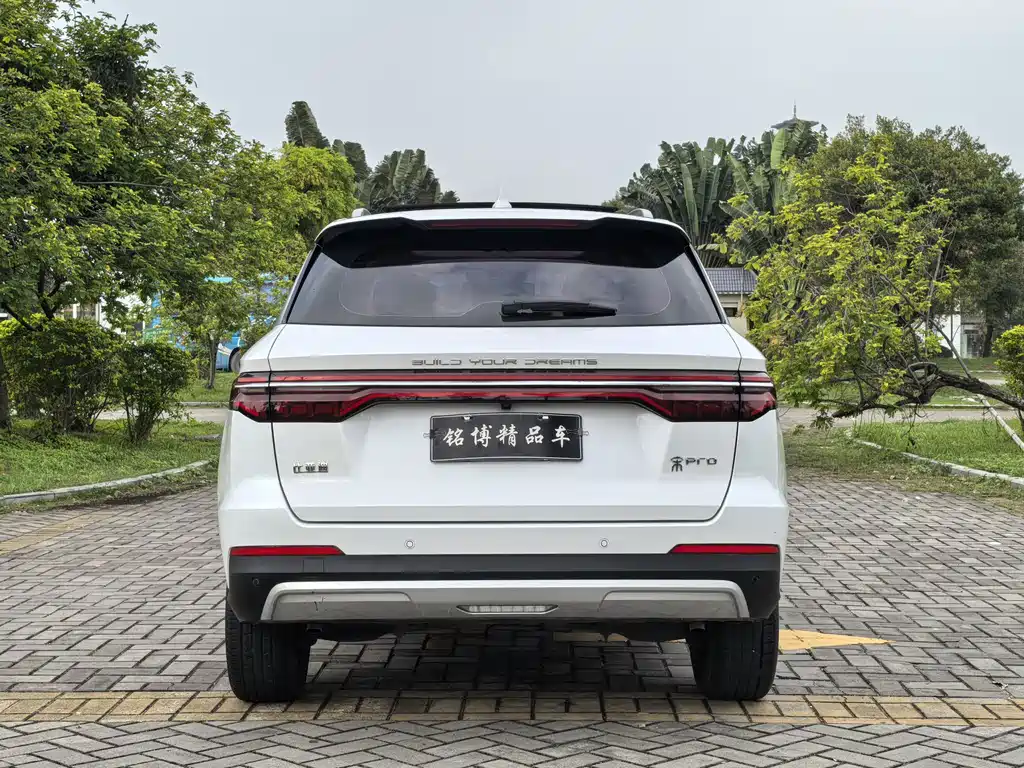 BYD Pro — фото 5
