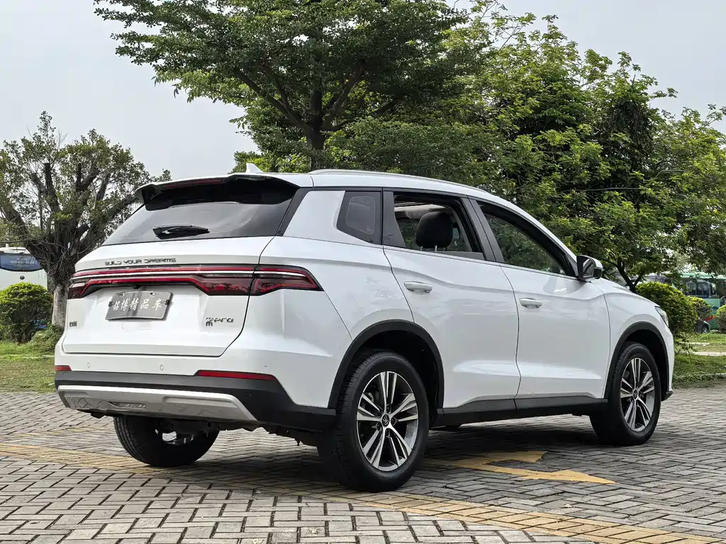 BYD Pro — фото 6