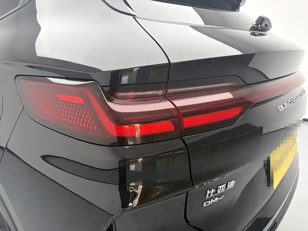 BYD PLUS New Energy — фото 11