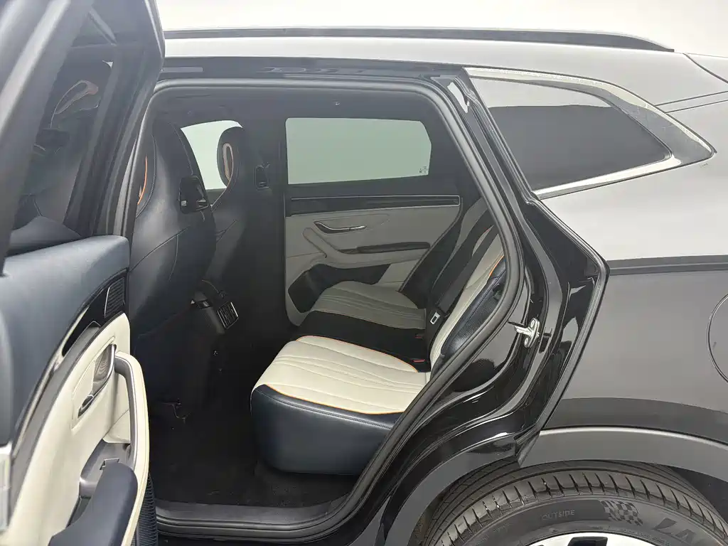 BYD PLUS New Energy — фото 13