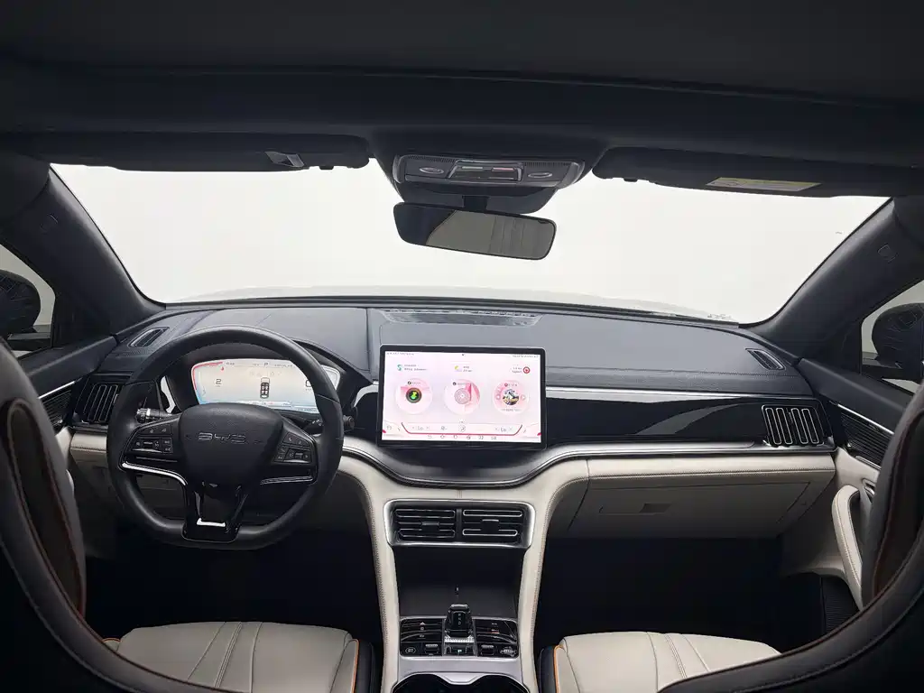 BYD PLUS New Energy — фото 14