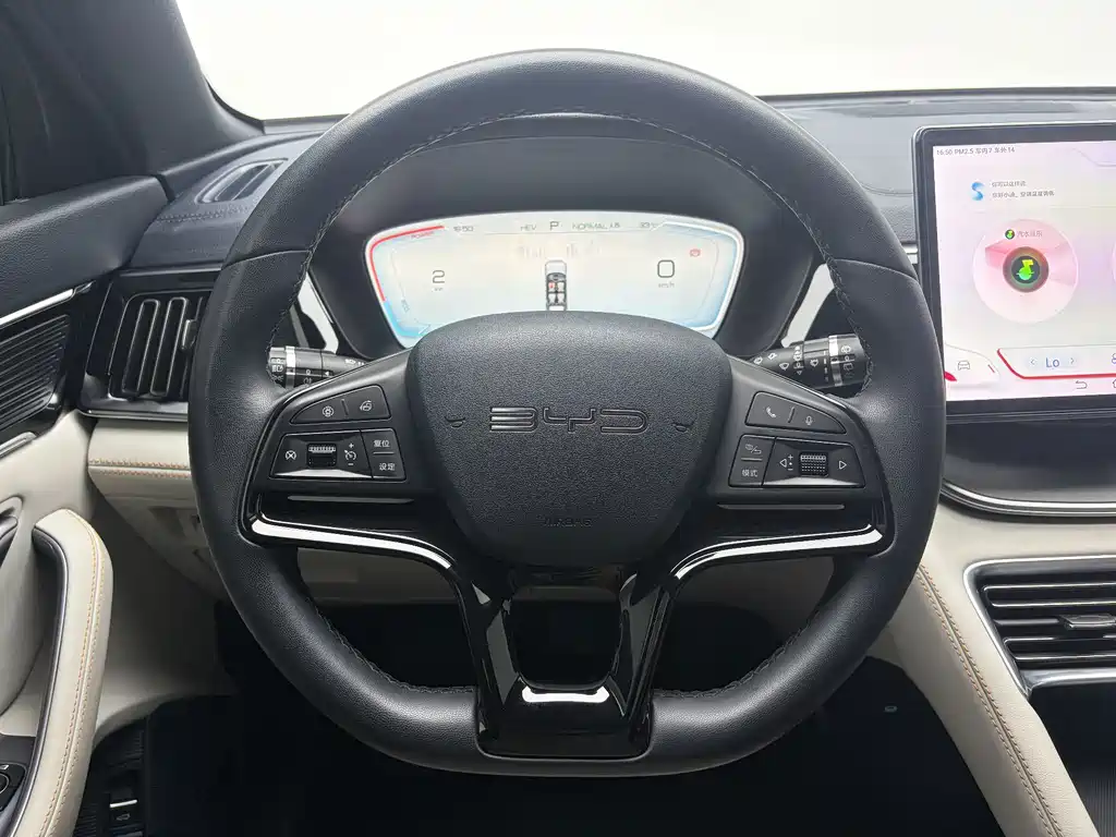 BYD PLUS New Energy — фото 15