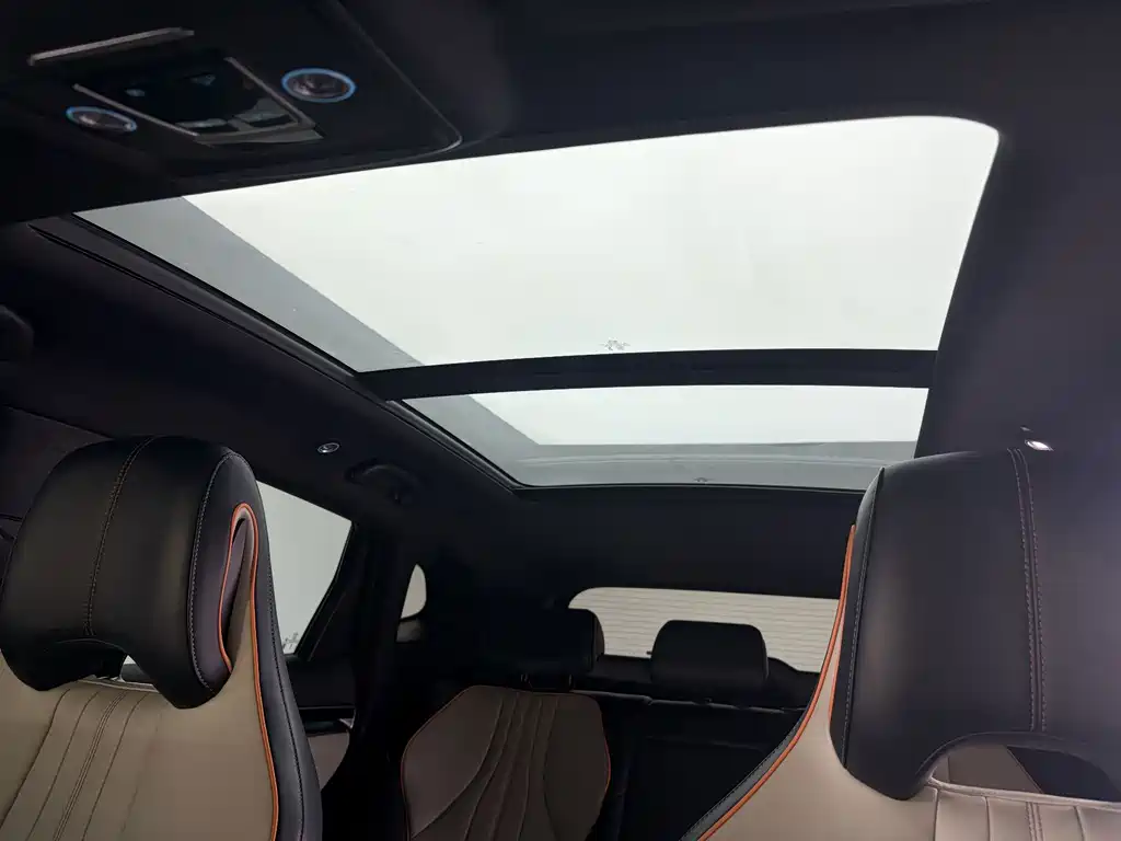 BYD PLUS New Energy — фото 17