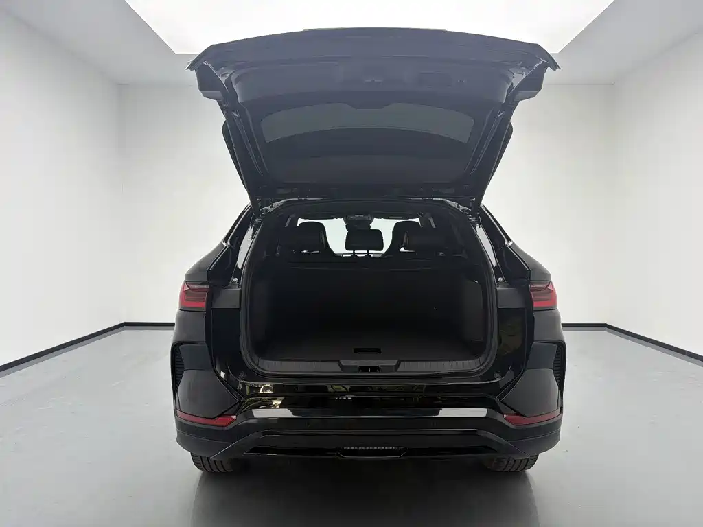 BYD PLUS New Energy — фото 18
