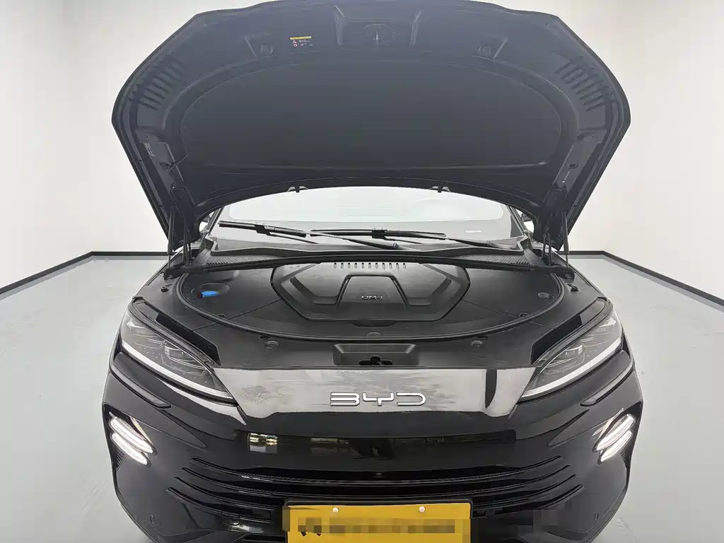 BYD PLUS New Energy — фото 19