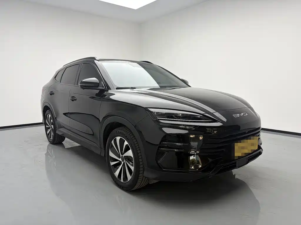 BYD PLUS New Energy — фото 3