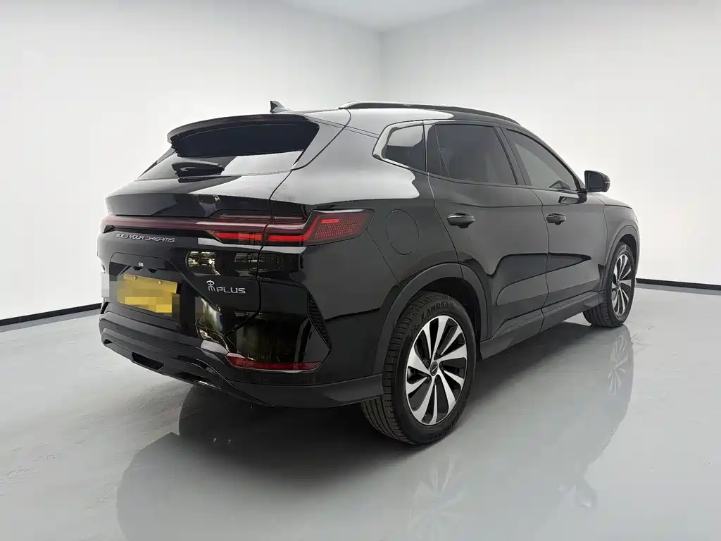 BYD PLUS New Energy — фото 4