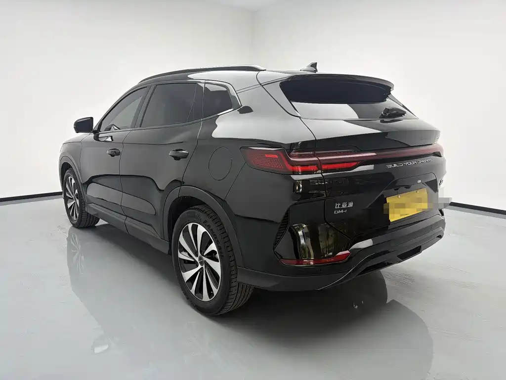 BYD PLUS New Energy — фото 6