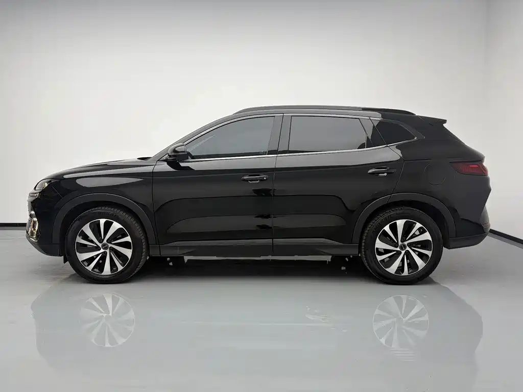 BYD PLUS New Energy — фото 7