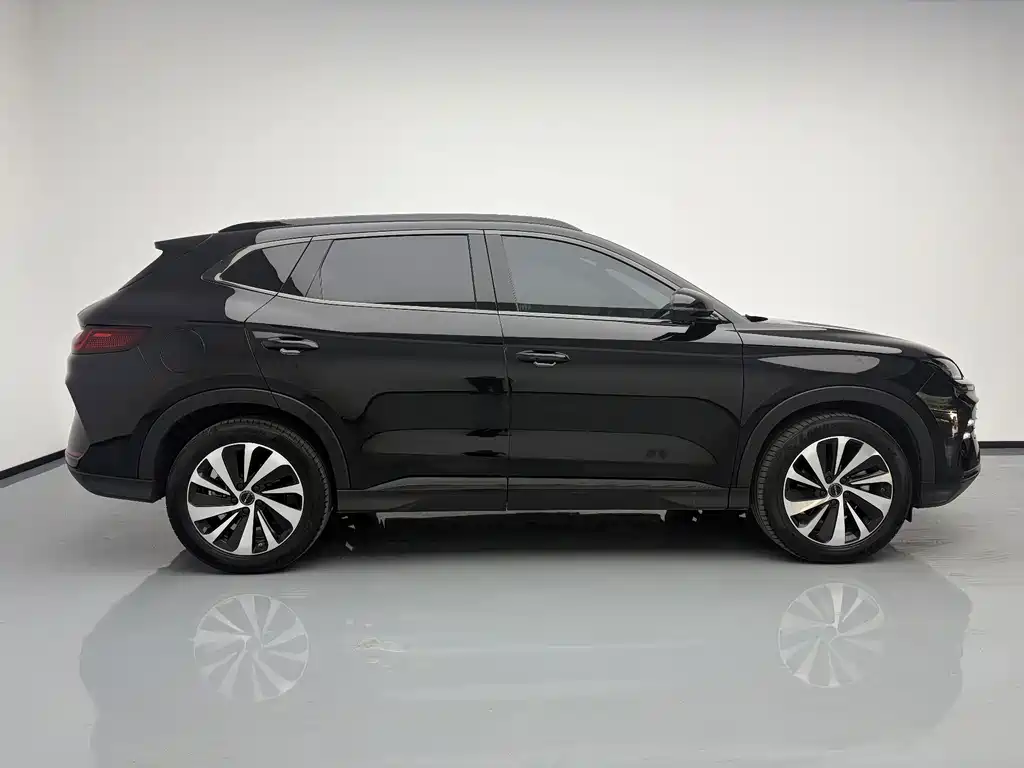 BYD PLUS New Energy — фото 8