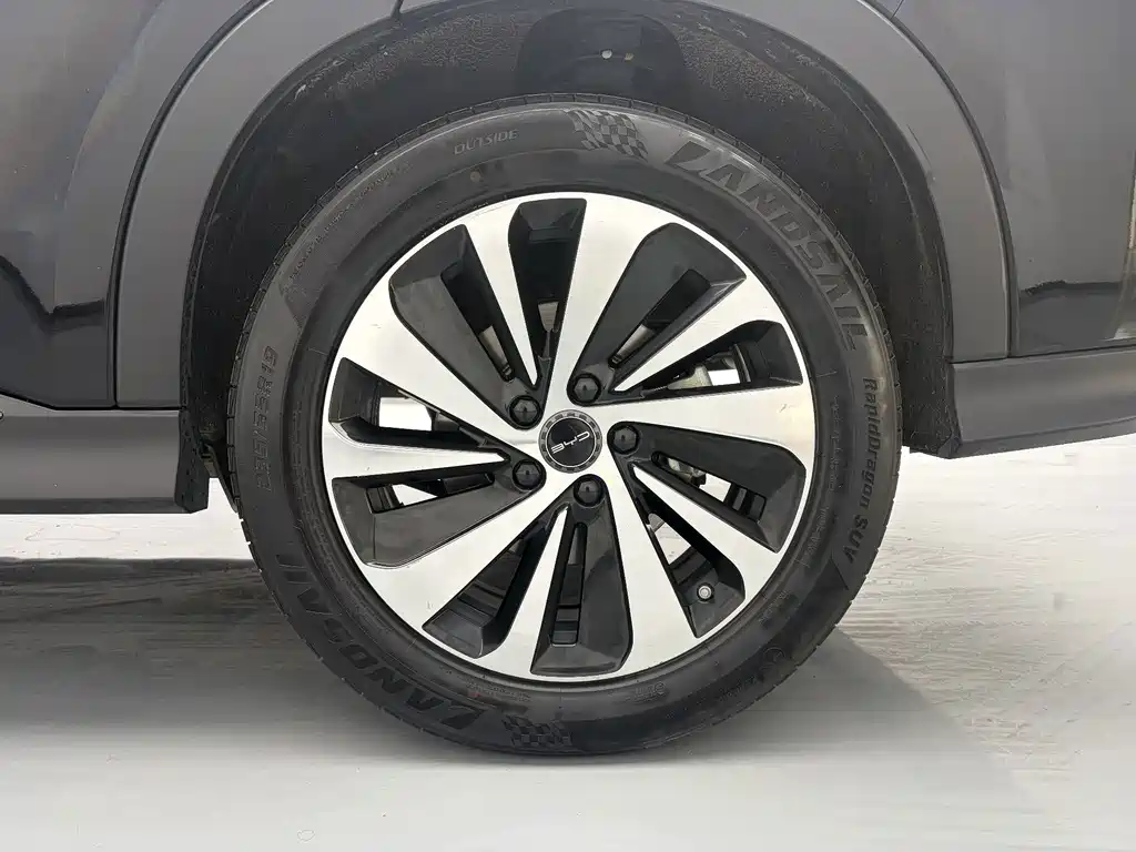 BYD PLUS New Energy — фото 9