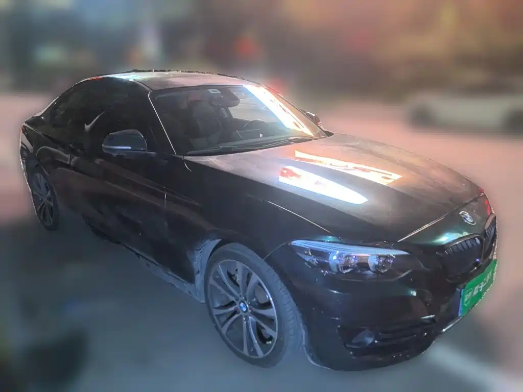 BMW 2 Series (Import) — фото 3