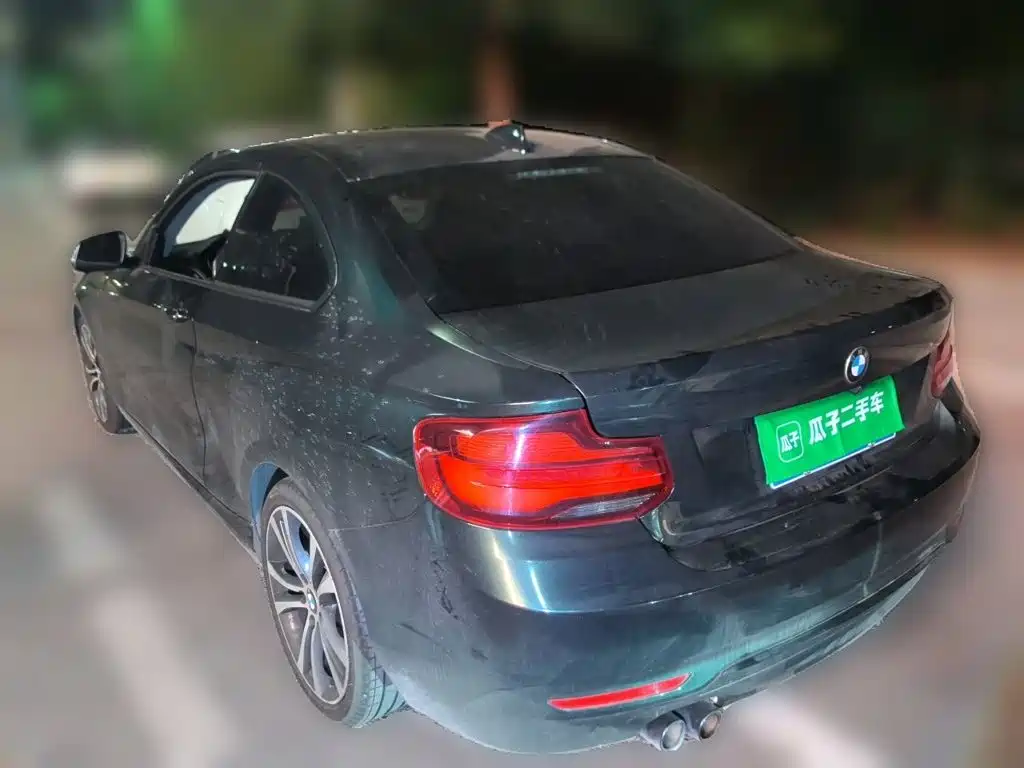 BMW 2 Series (Import) — фото 4