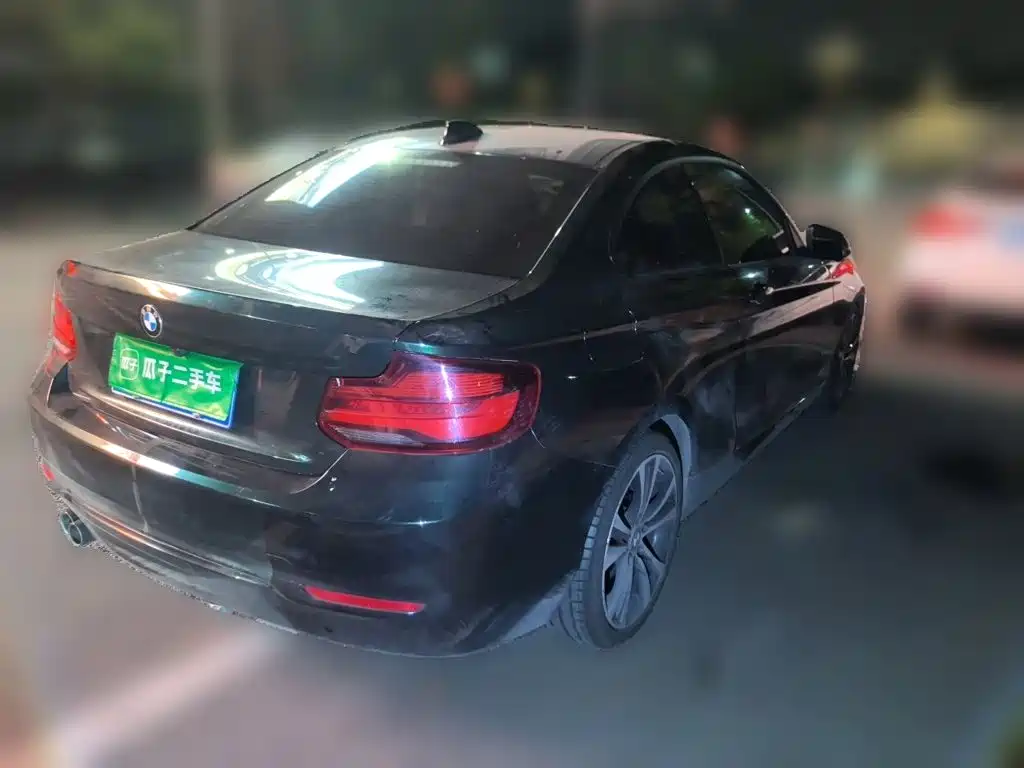 BMW 2 Series (Import) — фото 6