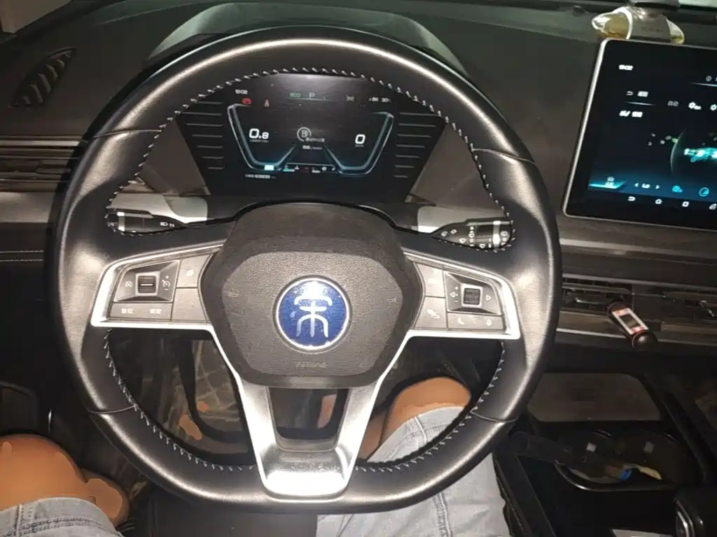 BYD Pro — фото 11