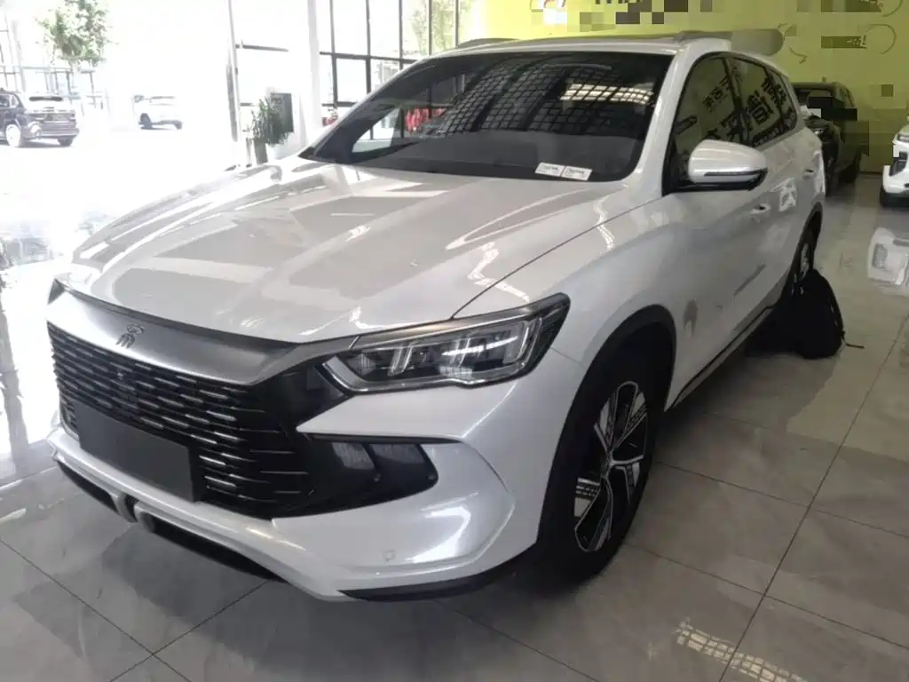 BYD Pro New Energy — фото 2