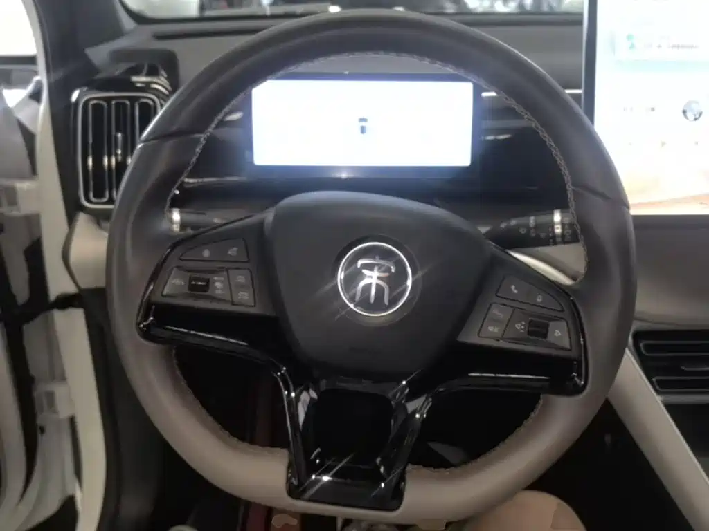 BYD Pro New Energy — фото 11