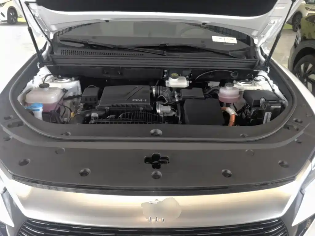 BYD Pro New Energy — фото 20