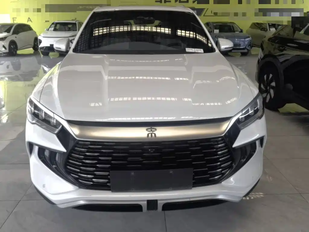 BYD Pro New Energy — фото 3