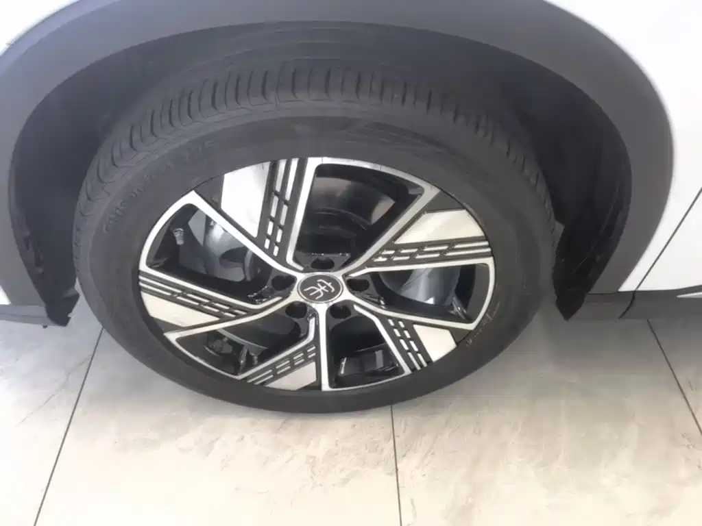 BYD Pro New Energy — фото 23