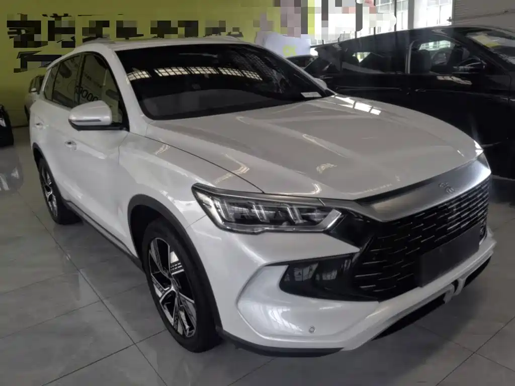BYD Pro New Energy — фото 4