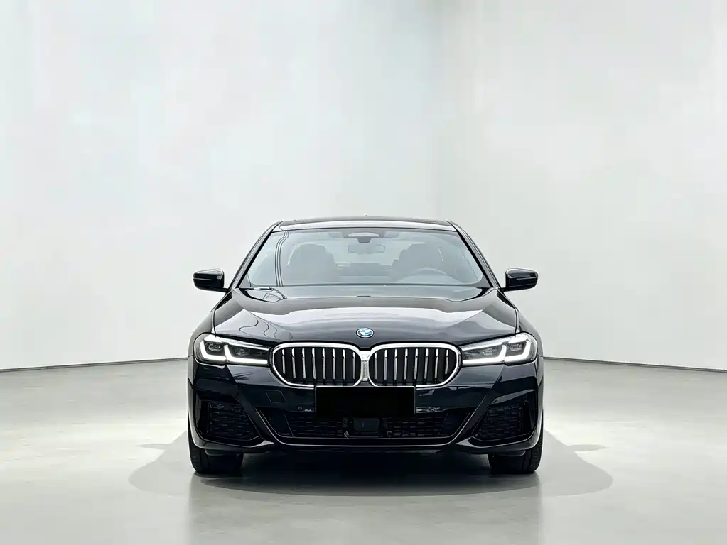 BMW 5 Series New Energy — фото 2