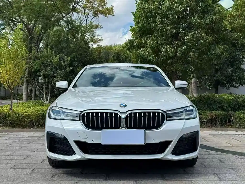 BMW 5 Series — фото 2