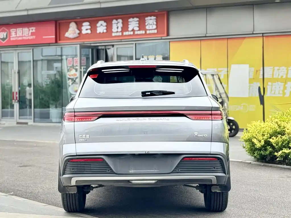 BYD Pro New Energy — фото 4