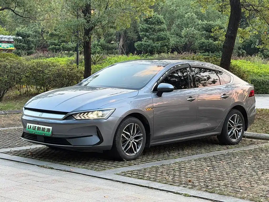 BYD Qin PLUS — фото 1