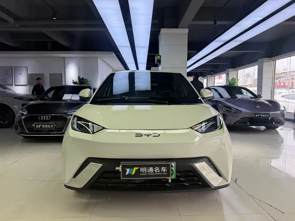 BYD Seagull — фото 2