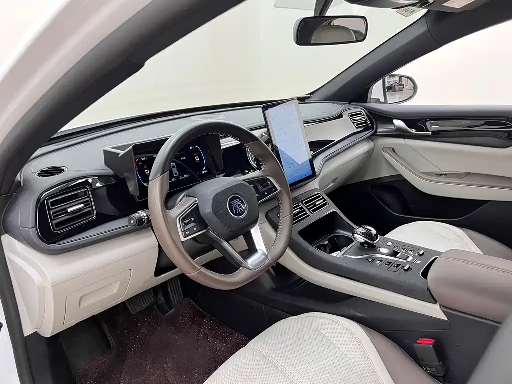 BYD Qin PLUS — фото 14