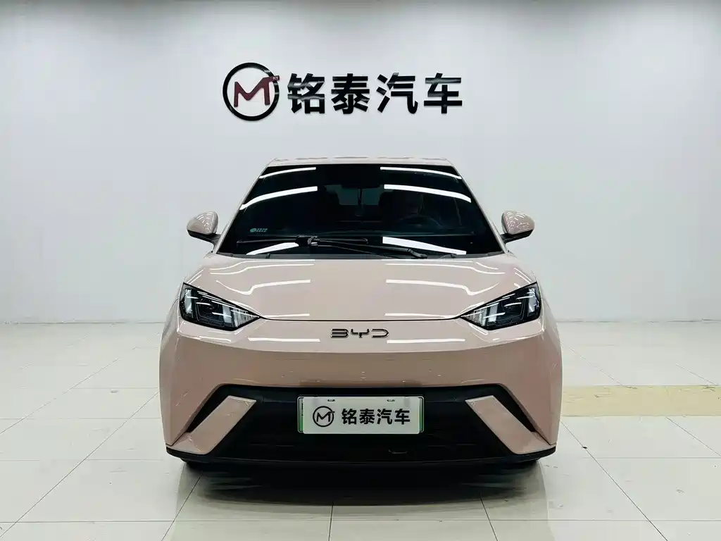 BYD Seagull — фото 2