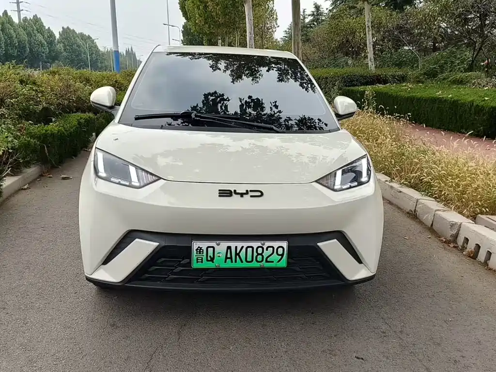 BYD Seagull — фото 2