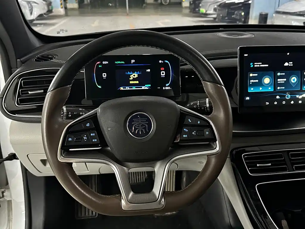 BYD Qin PLUS — фото 11