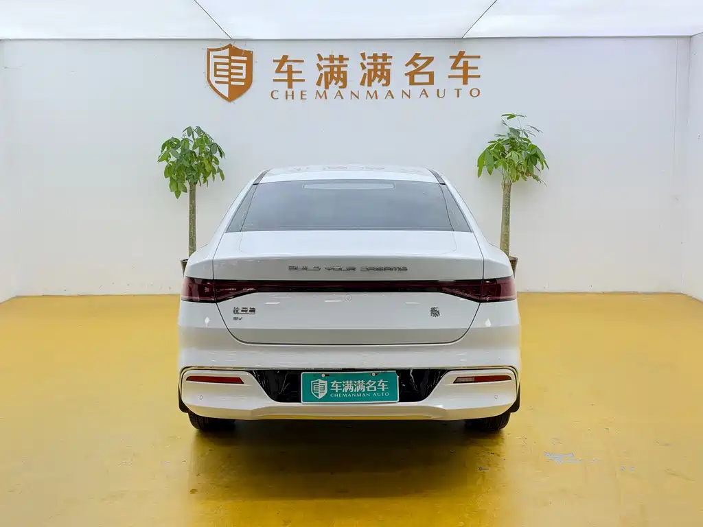 BYD Qin PLUS — фото 10