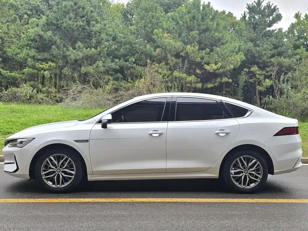 BYD Qin PLUS — фото 3
