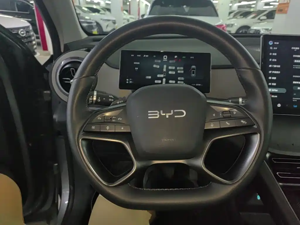 BYD Sealion 05 DM-i — фото 11