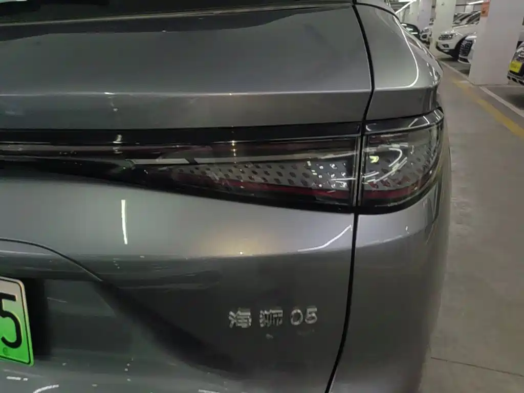 BYD Sealion 05 DM-i — фото 8