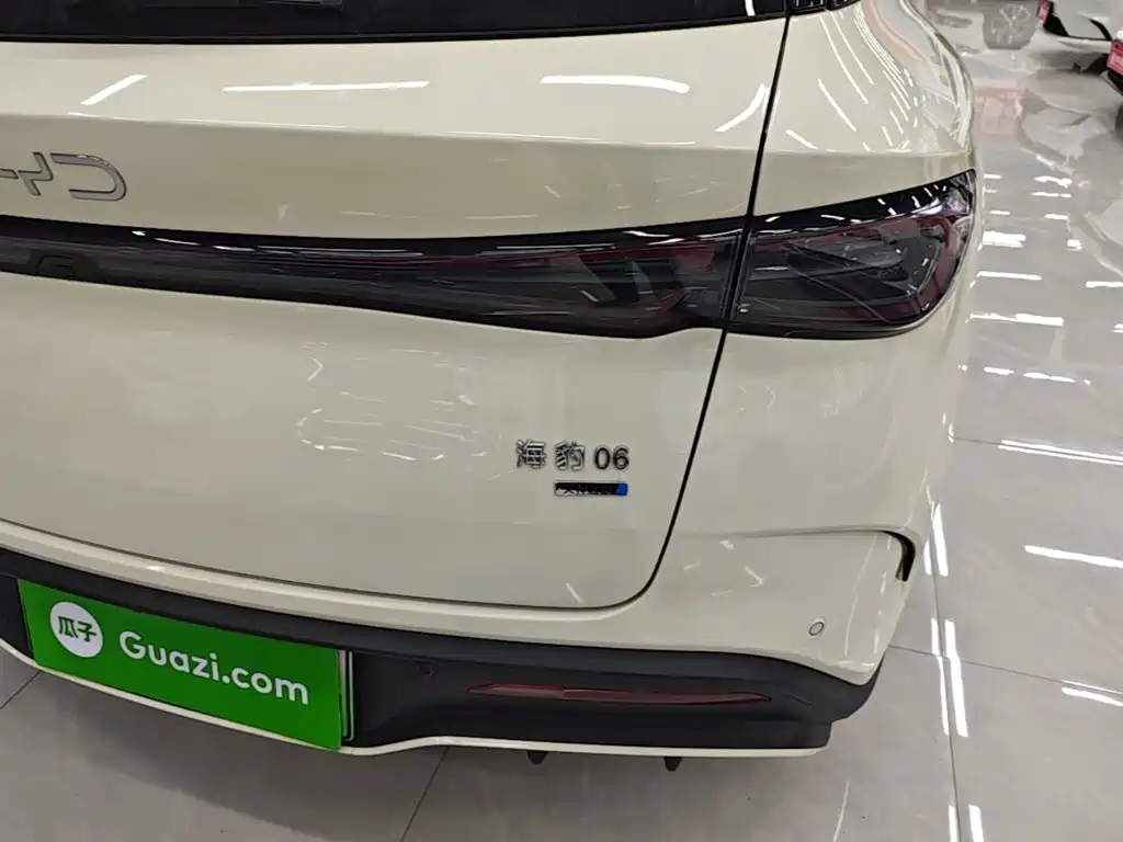 BYD Seal 06 DM-i Touring — фото 8