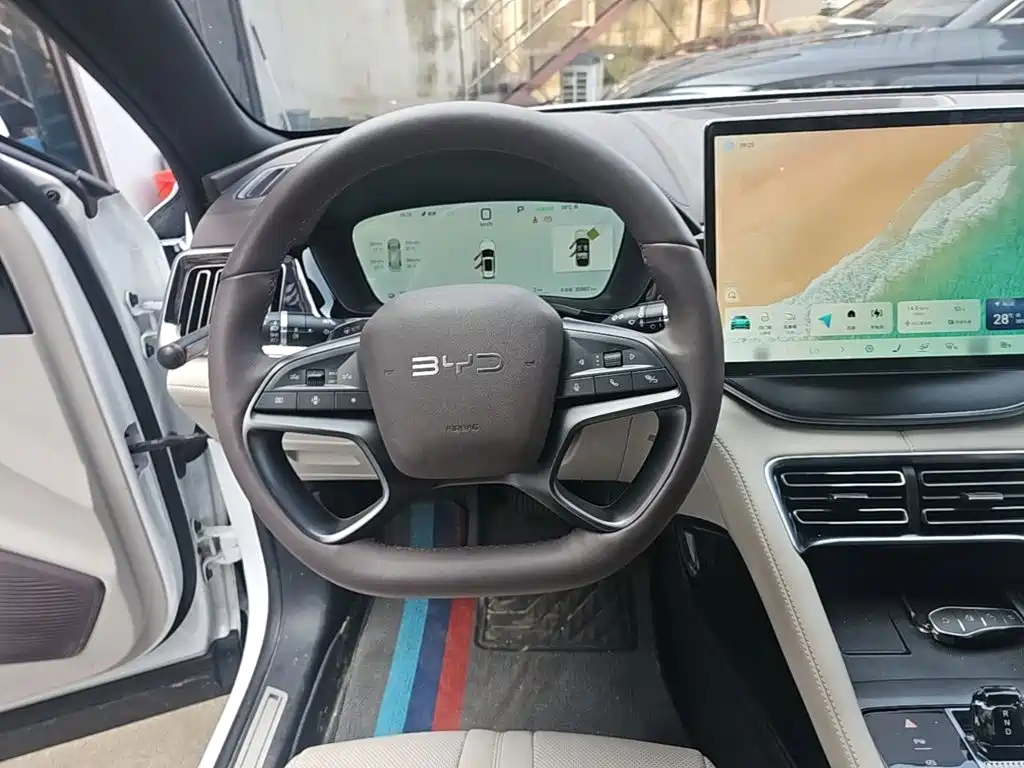 BYD PLUS New Energy — фото 11