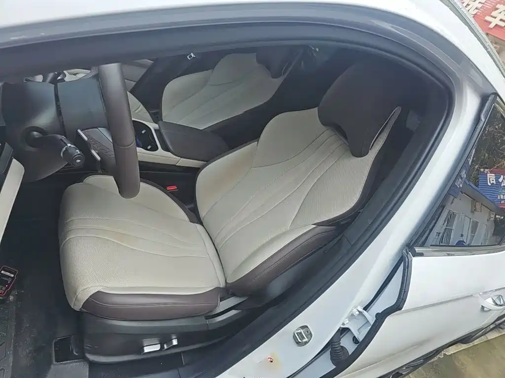 BYD PLUS New Energy — фото 15